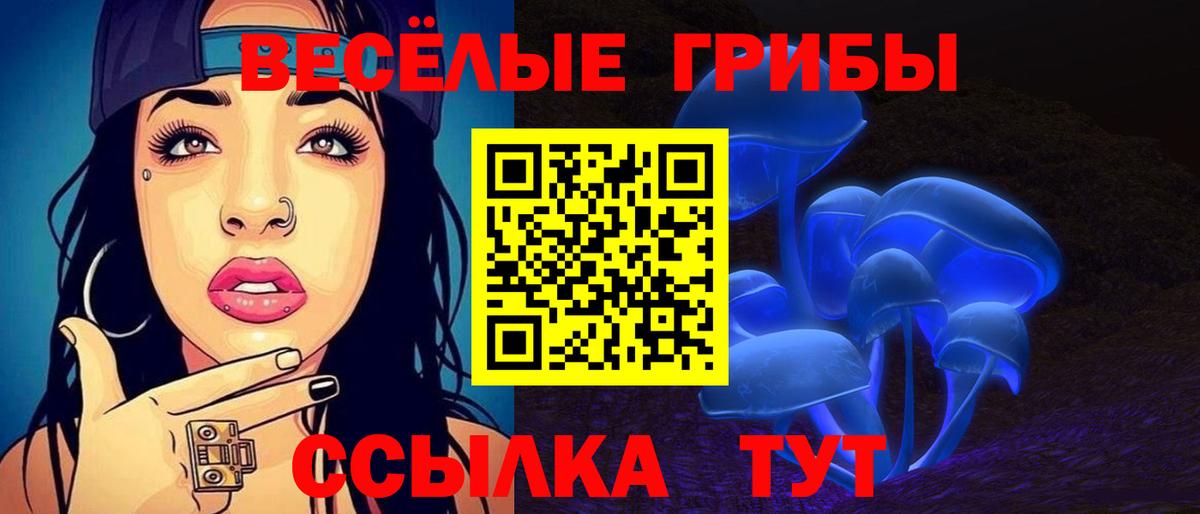 Псилоцибиновые грибы Cubensis  Вход с VPN  Когалым 